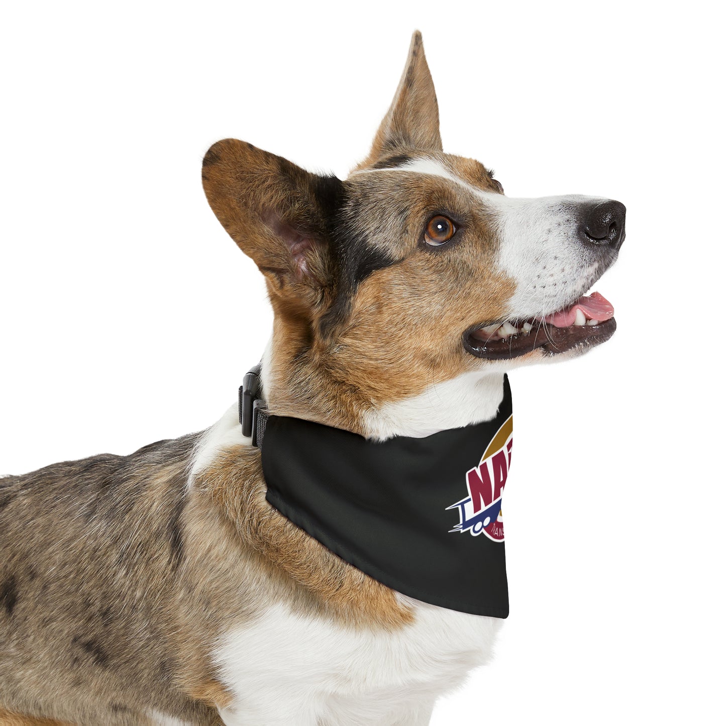 Pet Bandana Collar