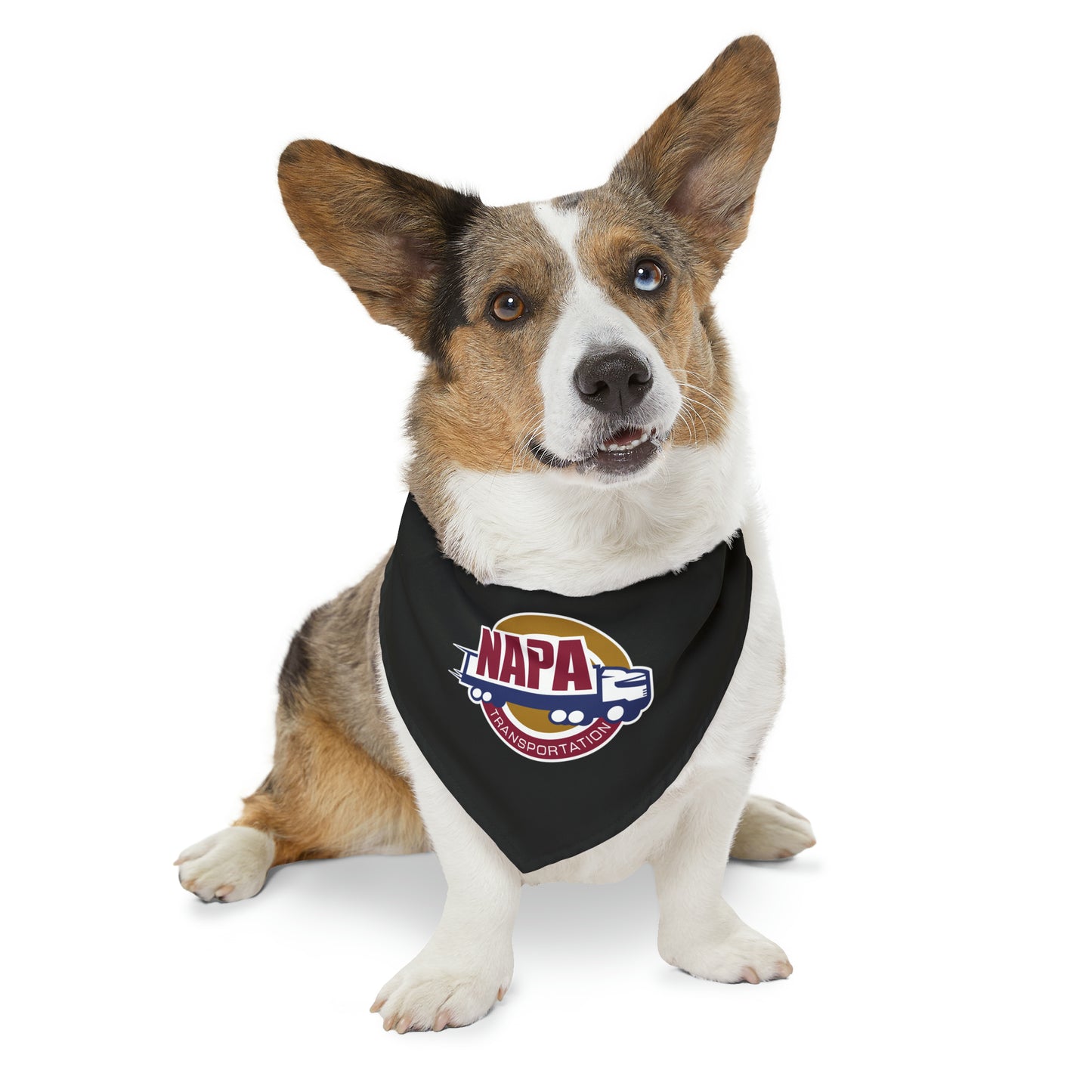 Pet Bandana Collar