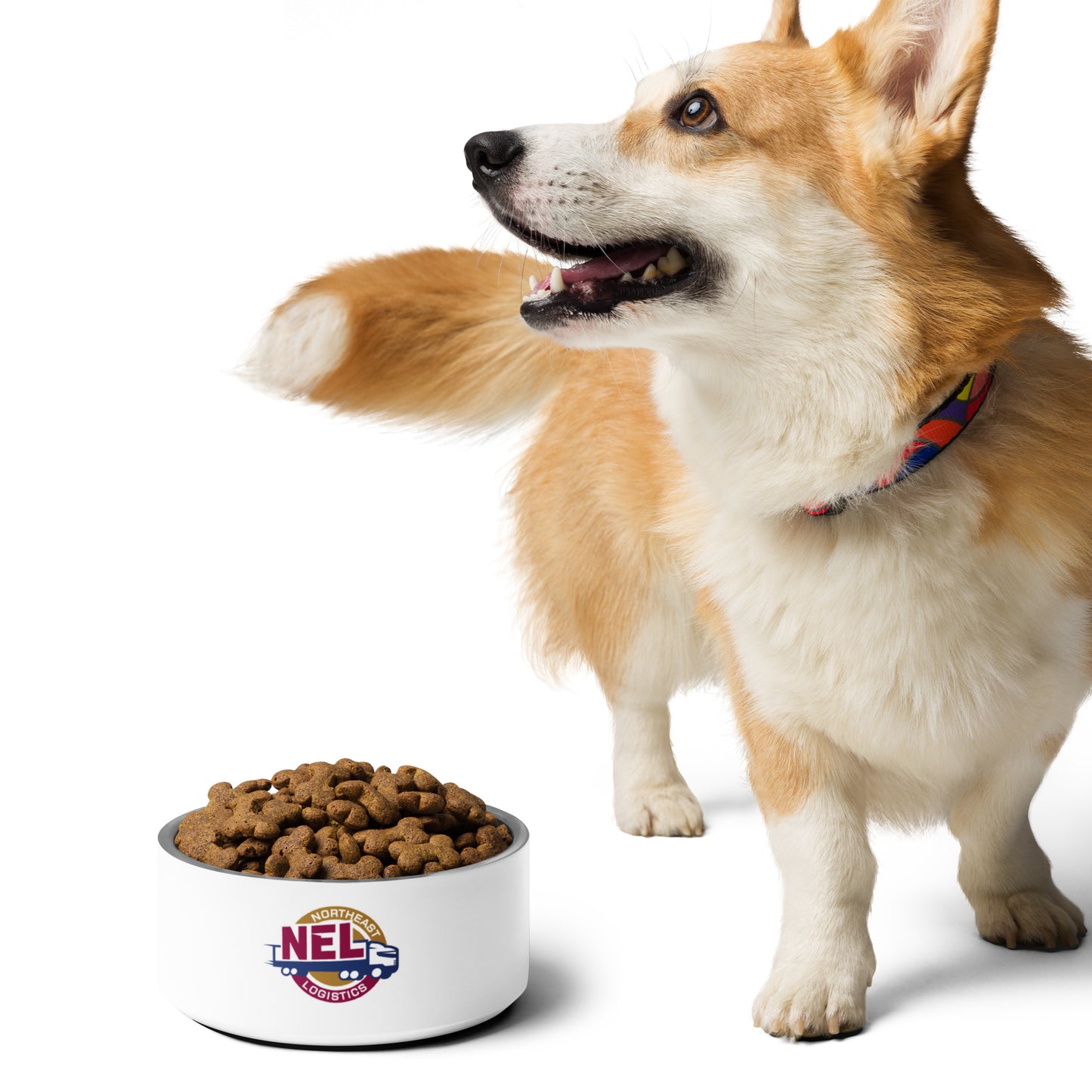 Pet bowl - NEL