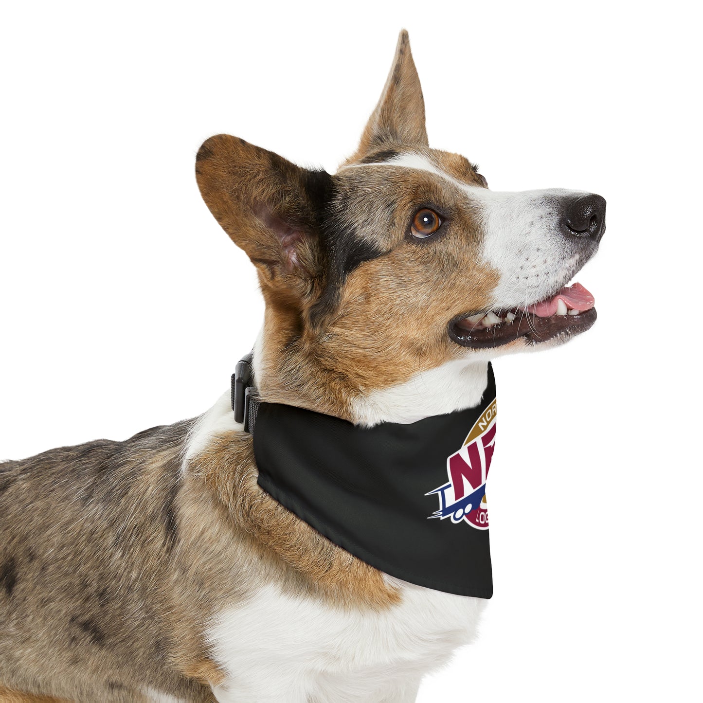 Copy of Pet Bandana Collar