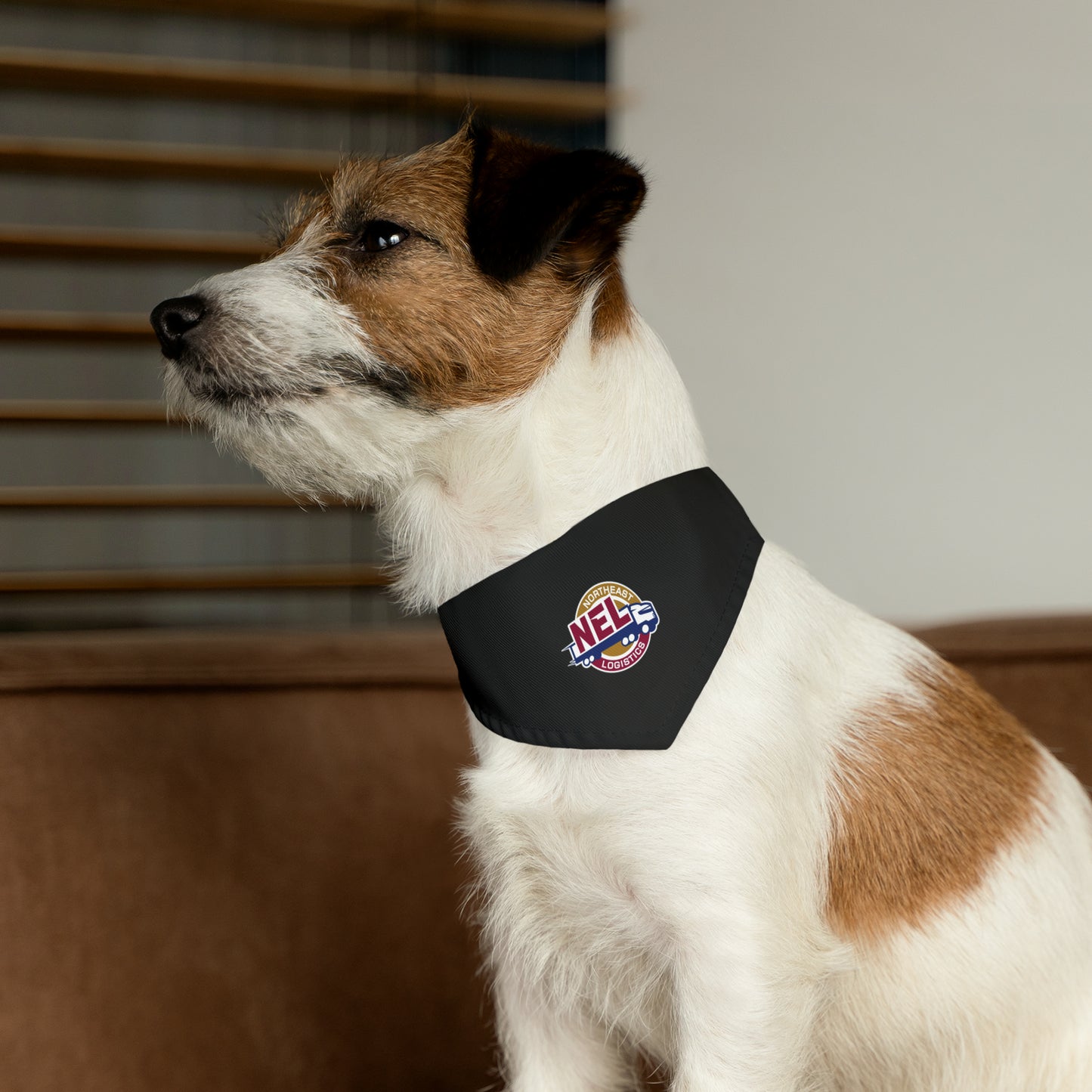 Copy of Pet Bandana Collar