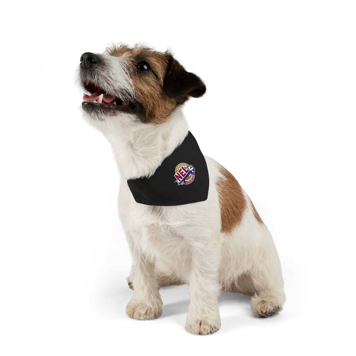 Copy of Pet Bandana Collar