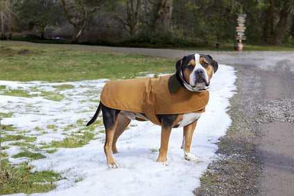Carhartt® Dog Chore Coat - NEL